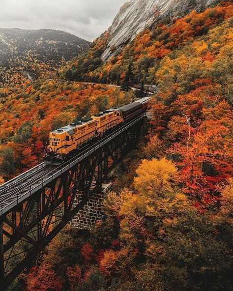 Crawford Notch State Park has 5,775 acres providing access to numerous hiking trails, waterfalls, fishing, wildlife viewing, and spectacular mountain views. Crawford Notch State Park is rich in history with the famous Willey House. The campground in the park is Dry River Campground and offers 36 wooded sites.
#travel #traveling #usatravel #usa England Photography, Cute Fall Wallpaper, Fall Background, Autumn Scenery, Island Getaway, Fall Travel, Fall Pictures, Autumn Aesthetic, Fall Wallpaper