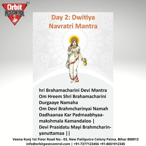 2nd Day of Navratri Pest Control, Book Cover