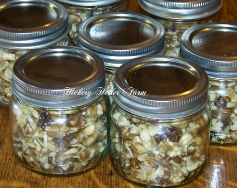 Canning Bone Broth, Black Walnuts Recipes, Forage Recipes, Fruit Tree Pruning, Cranberry Beans, Dry Heels, Black Walnut Tree, Walnut Recipes, Foraged Food