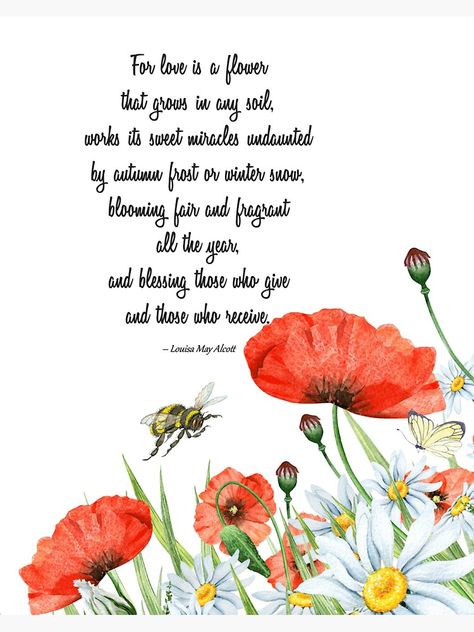 Quotes On Flowers, Songs About Flowers, Poppies Poem, Beautiful Flower Quotes, French Love Quotes, Flower Poem, Flower Quote, Remembrance Day Poppy, Sunflower Quotes