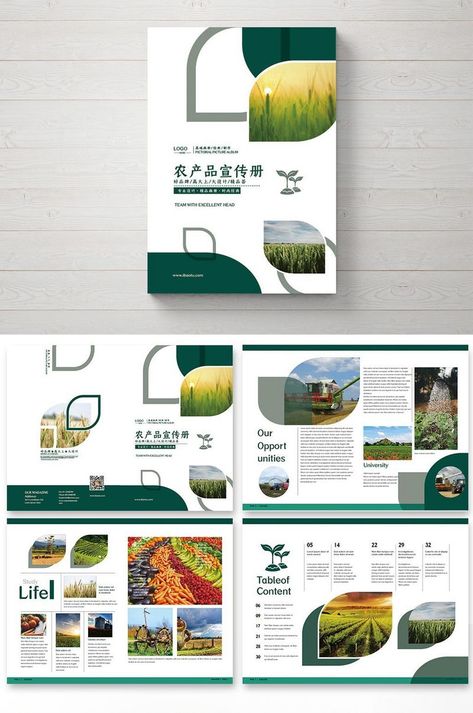 High End Style Agricultural Products Brochure#pikbest#Templates#Brochure#Corporate Agriculture Illustration Graphics, Agriculture Brochure Design, Agriculture Brochure, Education Banner, Cosmetic Creative, Corporate Brochure Design, Church Poster, Ecommerce Design, Green Texture