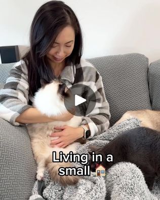 15K views · 6.4K reactions | Litter-Robot 4: Upgrade Your Cat's Litter Box Today 🐈 | Meet the best litter box for apartment living

✨WhisperQuiet™ cleaning cycles
👃Neutralizes odors
🐱1 Litter-Robot for up to 4 cats
👀Sleek, compact design | By Litter-Robot by WhiskerFacebook Best Litter Box, Litter Robot, 4 Cats, Cat Litter Box, Litter Box, Amazon Finds, Apartment Living, Compact Design, Cycling