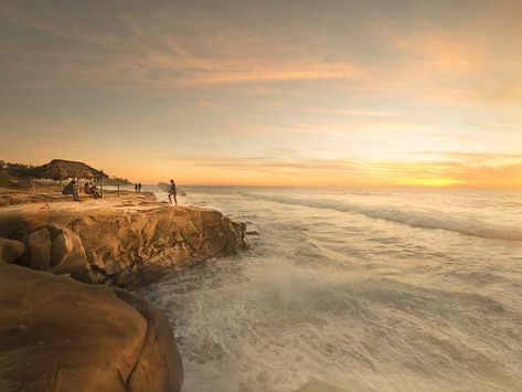 Best Places To Propose, San Diego Restaurants, Los Angeles Beaches, San Diego Beach, Learn To Surf, Beautiful Travel Destinations, San Diego Zoo, Balboa Park, Pacific Beach