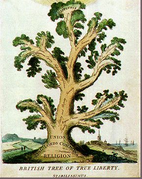 British Liberty Tree These painted engravings ridicule the unrest wrought by French revolutionaries by contrasting French subversion with British stability. The "British Liberty Tree" in this image is assigned to the mock Latin genus of "Stabilissimus," while the more sickly looking "Foreign Tree" (depicted in the following image) is put in the genus "Subitarius." Source: mfr 88.72/1 Tree Of Liberty, Liberty Tree, Ancient Drawings, The French Revolution, Good And Bad, French Revolution, Cardiff, Fraternity, Tree Of Life