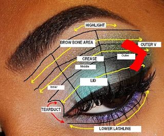 The Fancy Face: Tips for Beginners - EYESHADOW PLACEMENT AND APPLICATION (EYE DIAGRAM) Eyeshadow Placement, Eye Diagram, Beginner Eyeshadow, Parts Of The Eye, Face Tips, Ab Routine, Makeup 101, Pastel Pink Hair, Colorful Nail Designs