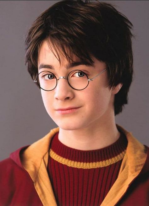 Harry Potter Portraits, Hery Potter, Harry Potter 2001, Young Harry Potter, Film Harry Potter, Citate Harry Potter, Daniel Radcliffe Harry Potter, Buku Harry Potter, Harry Potter Icons