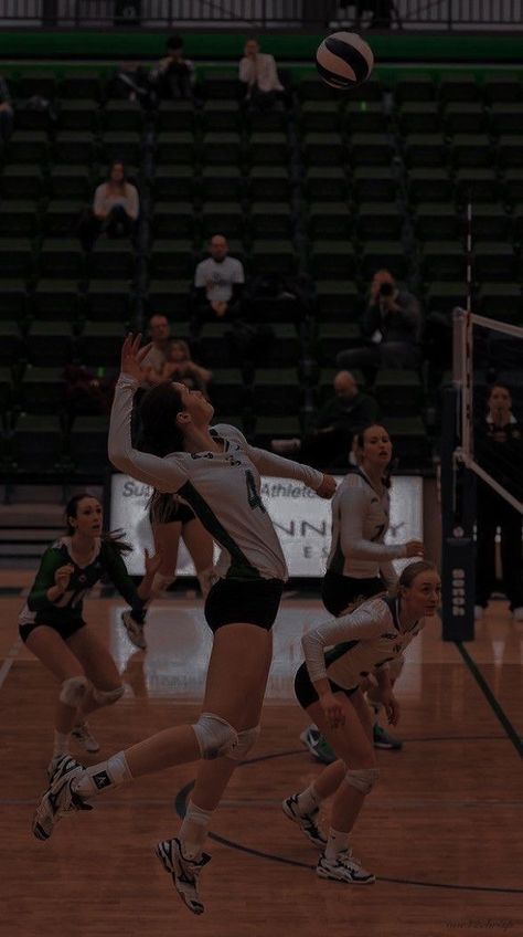 Volleyball Serve, Volleyball Motivation, Volleyball Photography, Volleyball Wallpaper, Indoor Volleyball, Volleyball Photos, Volleyball Inspiration, Volleyball Tips, Volleyball Workouts