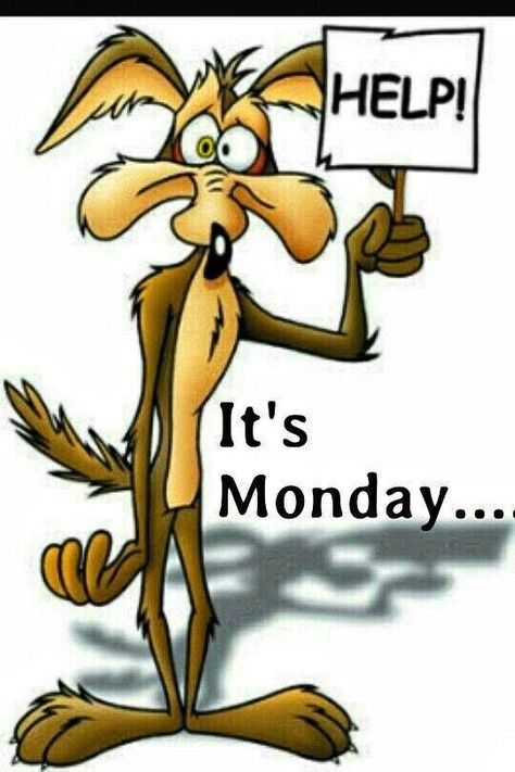 Monday Humor Quotes, Funny Day Quotes, Monday Humor, Funny Good Morning Quotes, Morning Quotes Funny, It's Monday, Monday Quotes, Good Morning Funny, Classic Cartoon Characters