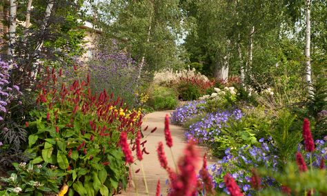 Seven of the UK's healing hospital gardens – in pictures Hospitals Design, Healing Garden Design, Hospital Garden, Lakeside Garden, Spinal Injury, Healing Garden, Sensory Garden, Hospital Design, Garden Pictures