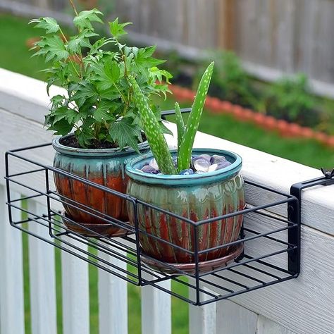 Amazon.com : Adjustable Flower Pot Rack Holder Plant Stand - Expands 14"-27" to accomodate Multiple flowerpots, Hanger Hooks fit Almost Any Balcony, Fence or Deck Railing up to 6" Wide - Steel Black : Patio, Lawn & Garden Balcony Hanging Plants, Balcony Fence, Plant Lamp, Small Balcony Garden, Window Box Flowers, Balcony Flowers, Small Balcony Design, Modern Plant Stand, Plant Tray