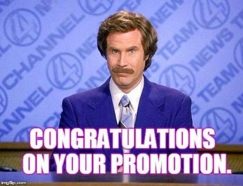 71 Congratulations Memes - "Congratulations on your promotion." Promotion Meme, Congratulations Meme, Excited Meme, Congratulations Promotion, Smart Comebacks, Congratulations Quotes, Celebrate Success, Job Humor, Job Quotes