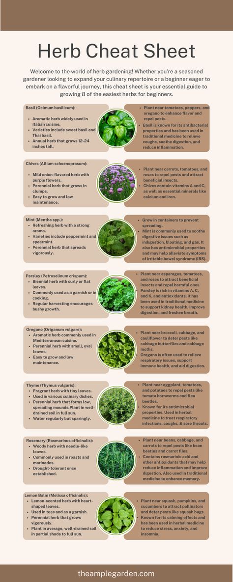 🌿 Discover the joy of herb gardening for beginners! 🌱 Whether you're a seasoned gardener or just starting out, this guide has everything you need to grow 8 easy-to-care-for herbs. From aromatic basil to soothing mint, learn how to cultivate a thriving herb garden right at home! #HerbGardening #Beginners #GardeningTips 🌱🌿 Outside Herb Garden Ideas, Herbs To Plant With Vegetables, Herb Care Guide, Gardening Herbs For Beginners, Aromatic Herbs Garden, Beginners Guide To Gardening, Beginner Medicinal Herb Garden, Herb Kitchen Garden, Herb Gardening For Beginners