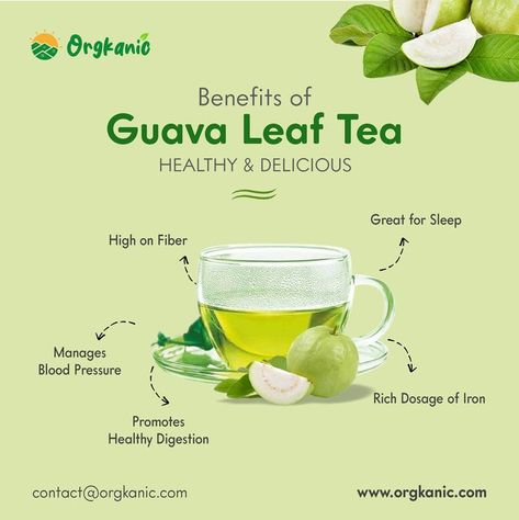 Guava Leaf Tea, Guava Benefits, Guava Leaves, Tea Health Benefits, Herbal Plants, Magic Herbs, Herbal Healing, Herbs For Health, Healthy Benefits