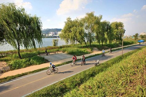 Han River Bike Rental Hangang River, Han River, Korean Stuff, Bike Route, Bike Lane, Architecture Ideas, River Park, Bike Rental, Ipad Wallpaper