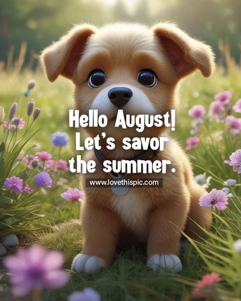 Hello August! Let’s Savor The Summer. Pictures, Photos, and Images for Facebook, Tumblr, Pinterest, and Twitter Welcome August Quotes, Welcome August, August Quotes, Hello August, Tumblr Image, Social Networking Sites, Facebook Image, Personal Website, Summer Pictures