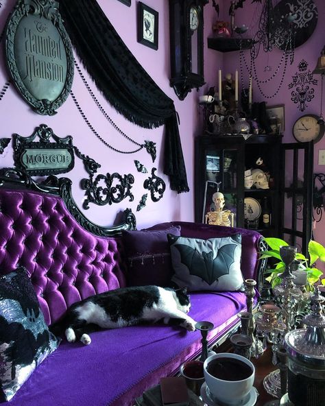 Queenie Black on Instagram: “Cat in the Bat room. Mr Meow’s room of choice to sloth in  is the Purple Parlor. He’s a big healthy boy resting all day so he can roam all…” Goth Daybed, Red Goth Room, Dracula Bedroom, Goth Living Room Decor, Haunt Furniture, Black And Red Room Aesthetic, Gothic Apartment, Vampire Room, Goth Living Room