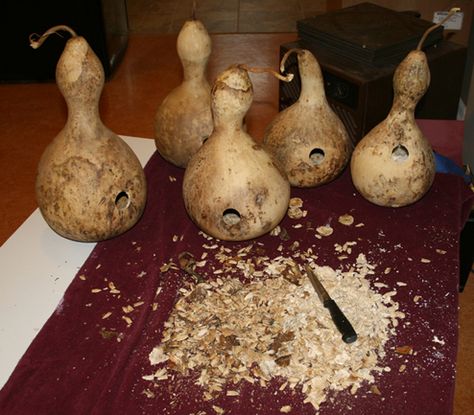 How To Make Birdhouse Gourds | My Everchanging Garden How To Dry Gourds, Gourds Diy, Birdhouse Gourds, Gorgeous Gourds, Wood Burning Techniques, Gourds Birdhouse, Decorative Gourds, Farm Crafts, Gourds Crafts