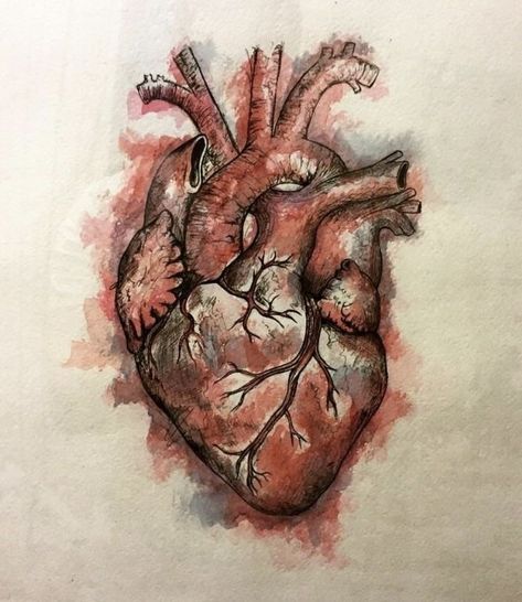 Human Heart Art, Anatomical Heart Drawing, Human Heart Drawing, Anatomical Heart Art, Gcse Art Sketchbook, Heart Sketch, Human Anatomy Art, Heart Drawing, Black Pen