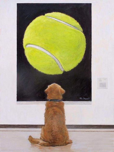 Rita Mendelson on Twitter: "@TheMontyDon I saw this and thought of Nigel 😢… " Labrador Funny, Pet Raccoon, Tennis Balls, Retriever Puppy, Cute Dogs And Puppies, Tennis Ball, Small Paintings, Dog Photography, Animal Tattoos