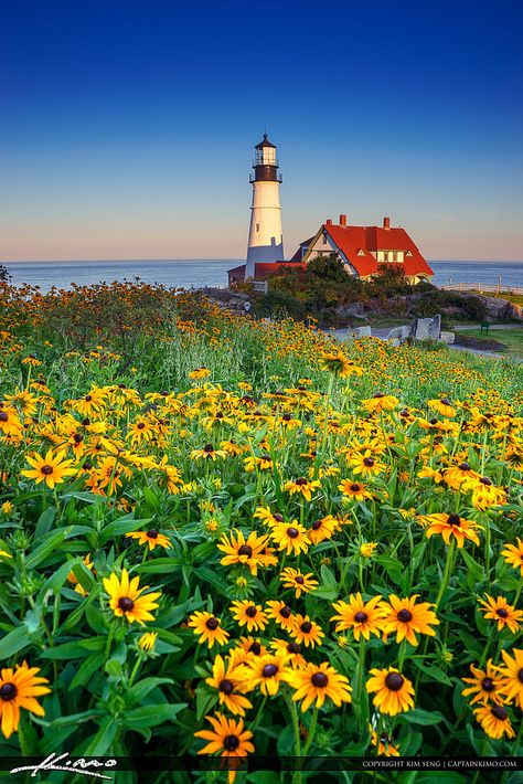 https://flic.kr/p/pq1nEv | Portland Maine Lighthouse with Flower | HDR photography image from two exposure processed using Photomatix Pro. Photo taken at Fort Williams Park in Maine at the Portland Head Light. captainkimo.com/portland-maine-lighthouse-with-flower/ Portland Maine Lighthouse, Lighthouse Watercolor, Lighthouse Inspiration, Maine Photography, Lighthouses Photography, Maine Lighthouses, Lighthouse Photos, Lighthouse Keeper, Lighthouse Painting