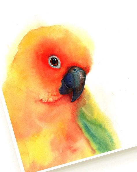 Watercolors by Maria Popma on Instagram: “Bright little sun conure. ♥️ 🦜 While I love carefully planning out a piece, I also find myself needing to allow for spontaneity once in a…” Sun Conure Painting, Watercolor Parrot Painting, Cockatiel Watercolor Painting, Sun Cheek Conure, Green Parrot Watercolor, Sun Conure, Watercolor Paintings For Beginners, Big Art, Watercolor Animals