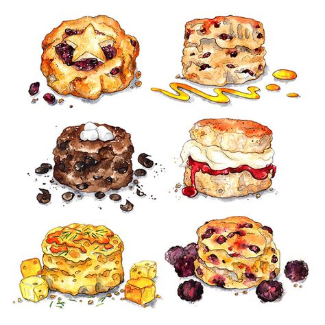 Scone Drawings, Scones Drawing, Trust Book, Food References, Watercolor Doodles, Journal Things, Drawing Food, Cinnamon Scones, Chocolate Scones