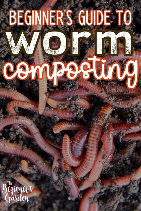 Step-by-step with instructions and materials you’ll need to get started with vermicomposting yourself!  #worm #composting #gardening #beginner Dig Gardens, Worm Composting, Worm Farm, Garden Compost, Pinterest Party, Earthworms, Composting, Grow Your Own Food, How To Make Tea