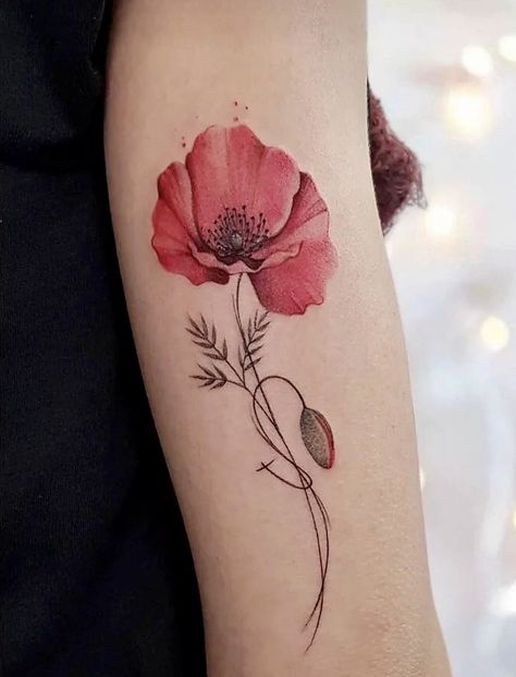 Red Poppy Flower Tattoo, Watercolor Poppy Tattoo, Poppy Flower Tattoo, Mum Tattoo, 50 Tattoo, Poppy Tattoo, Red Poppy Flower, Poppies Tattoo, Quality Tattoo