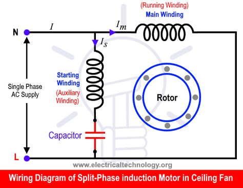 What is the Role of Capacitor in a Ceiling Fan? Electrical Technology Single Phase Motor Wiring Diagram, Capacitors Electronics, Ceiling Fan Wiring, Ceiling Fan Switch, Electrical Engineering Books, Ceiling Fan Motor, Ac Circuit, Robot Lamp, Learn Physics