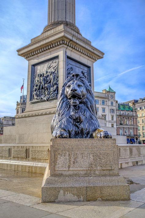 Trafalgar Square Lions, British Isles Travel, Famous Statues, Rain Tattoo, Art Heist, Trafalgar Square London, Funny Animal Images, English Surnames, London 2023