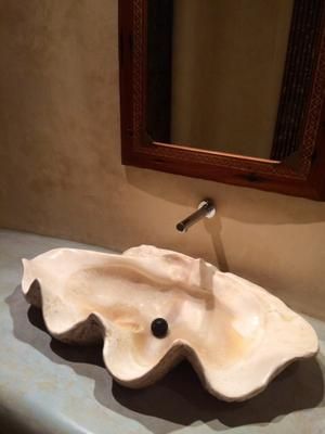 Laguna Beach House, Giant Clam Shell, Types Of Shells, Diy Hot Tub, Giant Clam, Yellow Kitchen, Books Art, Ikea Kitchen, Bathroom Designs