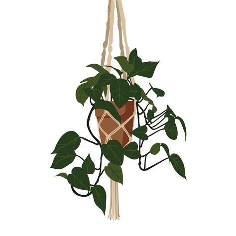 Hanging Plant Drawing, Hanging Potted Plants, Plants Drawing, Plant Drawing, Hanging Plant, Hanging Pots, Plant Design, Hanging Plants, Macrame Plant Hanger