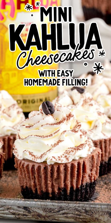 Kaluah Recipes, Kahlua Cheesecake, Cheesecake Cups Recipe, Dark Chocolate Cheesecake, Easy Tiramisu Recipe, Alcoholic Desserts, Chocolate And Coffee, Coffee Cheesecake, Cheesecake Cups