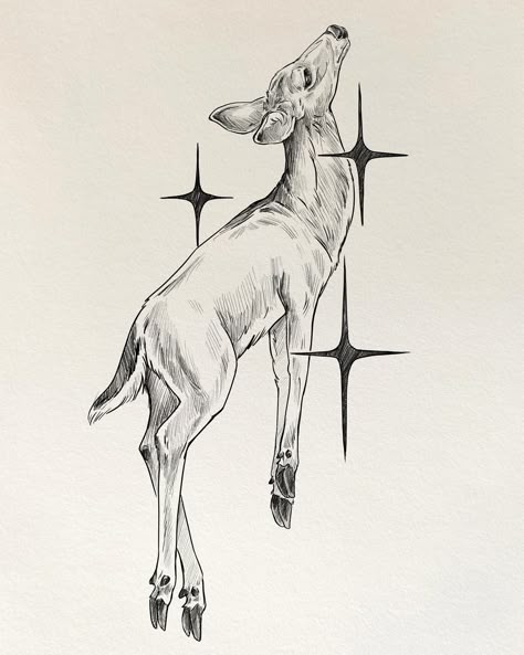 ✨Deer✨ Day 14. of following my own #drawingparade2024 prompts during October. I drew this one quickly on the plane. I’m on my birthday surprise vacation 🥰🥰 I promise I’ll keep drawing tho #drawingparade2024 #inktober #inktober2024 #inktoberchallenge #drawing #draweveryday #dailydrawing #naturedrawing #tattoodesign #deer Winged Animals Drawings, Buck And Doe Drawings, Creepy Deer Drawing, Deer In Woods Tattoo, Wounded Deer Tattoo, Vintage Deer Art, Doe Drawings, Deer Drawing Reference, White Tail Deer Tattoo