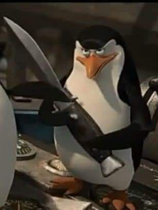 Penguins Of Madagascar Matching Pfp, Rico The Penguin, Madagascar Penguins Funny, Rico Penguin Madagascar, Penguins Of Madagascar Pfp, Rico Madagascar, Funny Widgets, Madagascar Meme, Penguin Of Madagascar