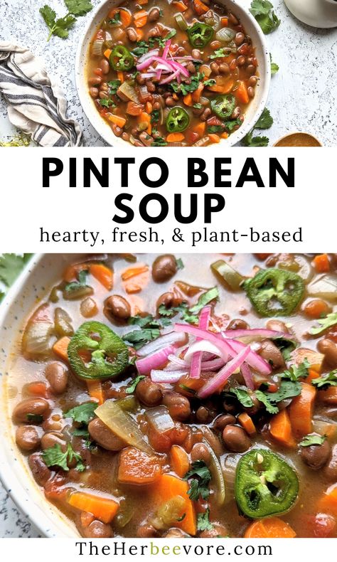 Vegetarian Pinto Bean Recipes, Immflamation Diet, Vegan Pinto Bean Recipes, Pinto Bean Soup Recipes, Diet Soups, Beans Recipe Crockpot, Soup Recipe Vegan, Veggie Soups, Soup Night