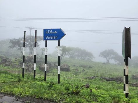 Unveiling Salalah’s secrets one khareef journey at a time Salalah Oman, Salalah, Arabian Sea, Picnic Spot, Walking Paths, Green Carpet, Green Landscape, Dark Skies, Girly Pictures