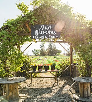 Farm Stand Display, Flower Farm Sign, You Pick Flower Farm, Farm Stands Roadside, Roadside Farm Stand Ideas, Farm Store Ideas, Market Entrance, Farm Market Ideas, Farm Tourism