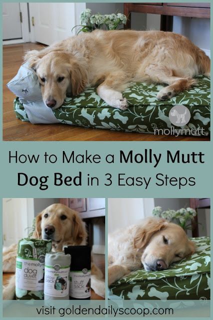 Stairs Dog House, Dog House Ideas, Under Stairs Dog House, Dog Beds Homemade, Pallet Dog House, Diy Pet Bed, Dogs Diy Projects, Mutt Dog, Diy Dog Bed