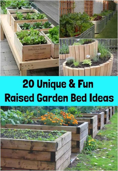 20 Unique & Fun Raised Garden Bed Ideas Unique Raised Garden Beds, Beautiful Raised Garden Beds, Cheap Raised Garden Beds, Raised Garden Beds Diy Vegetables, Ladder Ideas, Raised Garden Bed Ideas, Garden Bed Ideas, Garden Bed Layout, Vegetable Beds Raised