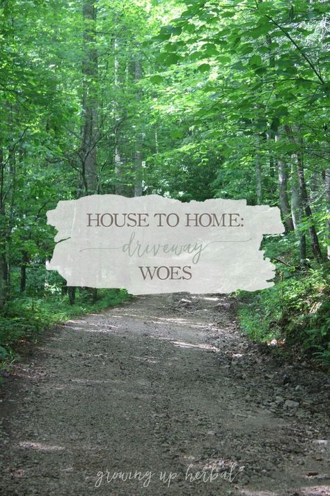 House To Home: Driveway Woes | Growing Up Herbal | I love my long mountain driveway, but there are times it causes problems. Mountain Driveway, Long Gravel Driveway, Home Driveway, Long Driveway, Herb Life, House To Home, Homemade Cleaning Supplies, Gravel Driveway, Driveway Landscaping