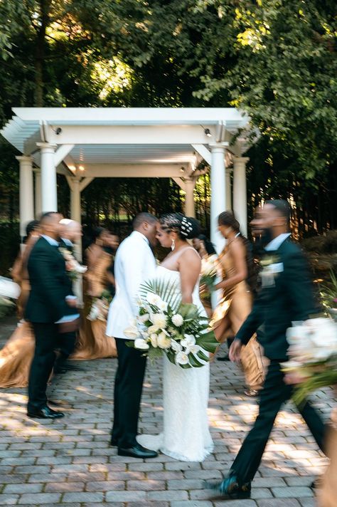 Bride and Groom with wedding party Tropical Wedding Bridal Party, Party Black People, Green Tropical Wedding, Bridal Party Black, Flower Subscription, Bouquet Arrangements, Wedding Bridal Party, Tropical Wedding, Cool Plants