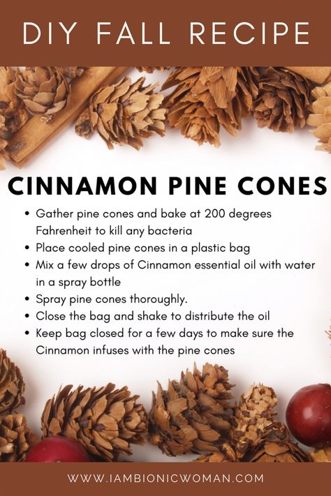 cinnamon pinecones Diy Cinnamon, Potpourri Recipes, Christmas Gift Basket Ideas, Cinnamon Essential Oil, Fall Recipe, Cones Crafts, Christmas Gift For Mom, Christmas Gift Basket, Pine Cone Crafts