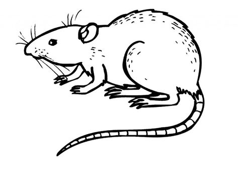 Free Printable Rat Coloring Pages For Kids Rat Coloring Pages, Hippo Coloring Pages, Rat Drawing, Cartoon Rat, Animal Outline, Bee Coloring Pages, Fancy Rat, Shark Coloring Pages, Drawing Template