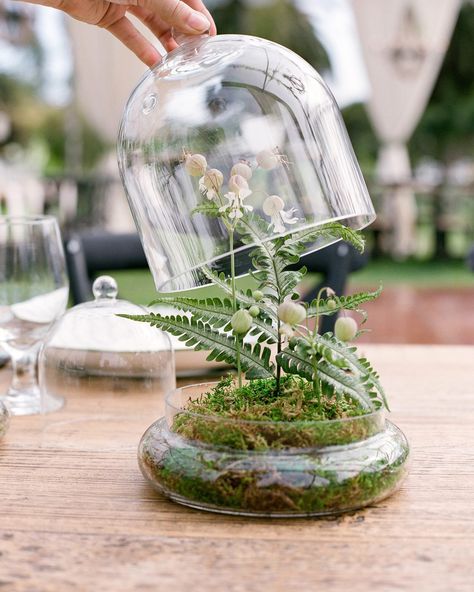 Terrarium Wedding Centerpiece, Family Style Table, Moss Wedding, Terrarium Centerpiece, Terrarium Wedding, Martha Weddings, Zoo Wedding, Low Centerpieces, Family Style Dinner