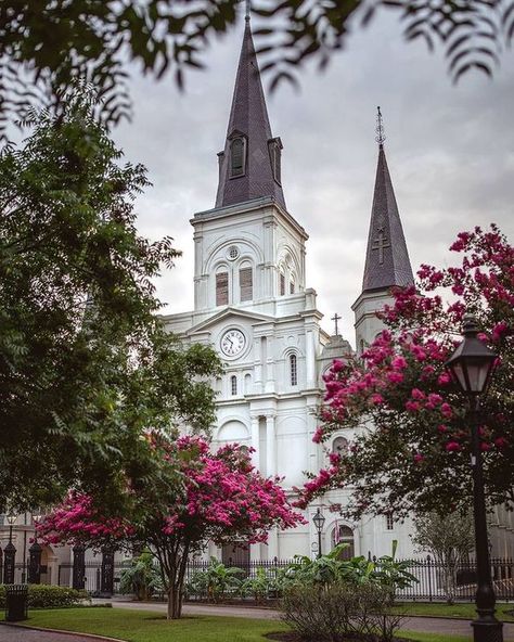 St Louis Cathedral New Orleans, St Louis Cathedral, Houses Of The Holy, Old Fences, Gulf Coast, Cologne Cathedral, Color Photography, 100 Years, House Colors