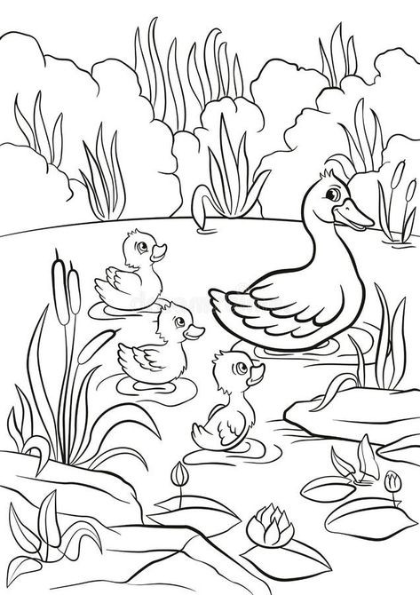 Pond Drawing, Duck Family, Panda Coloring Pages, Duck Drawing, Duck And Ducklings, Cute Ducklings, Family Meeting, Horse Coloring Pages, Cute Reptiles