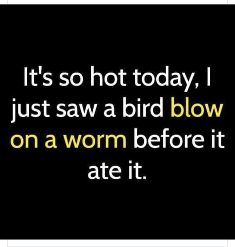 Construction Humor, Hot Weather Humor, Weather Memes, Weather Quotes, It's So Hot, Hot Outside, This Heat, Funny Thoughts, Funny Cartoon Quotes