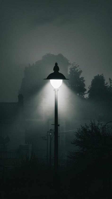 Street Light Wallpaper Iphone, Street Light In Fog, Lamp Wallpaper Iphone, Street Lamp Wallpaper, Street Lamp In The Fog, Fog Wallpaper, Plan Wallpaper, Iphone Light, Iphone Wallpaper Photography