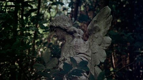 Dark Academia Gif, Cinemagraph Gif, Tumblr Users, Kestrel, Simple Pleasures, Nature Pictures, Dark Academia, Cemetery, Live Life